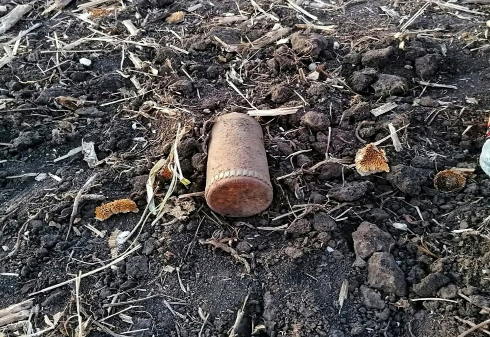 Proiectil exploziv de 100 mm, descoperit la Hodivoaia. Jandarmii au asigurat zona