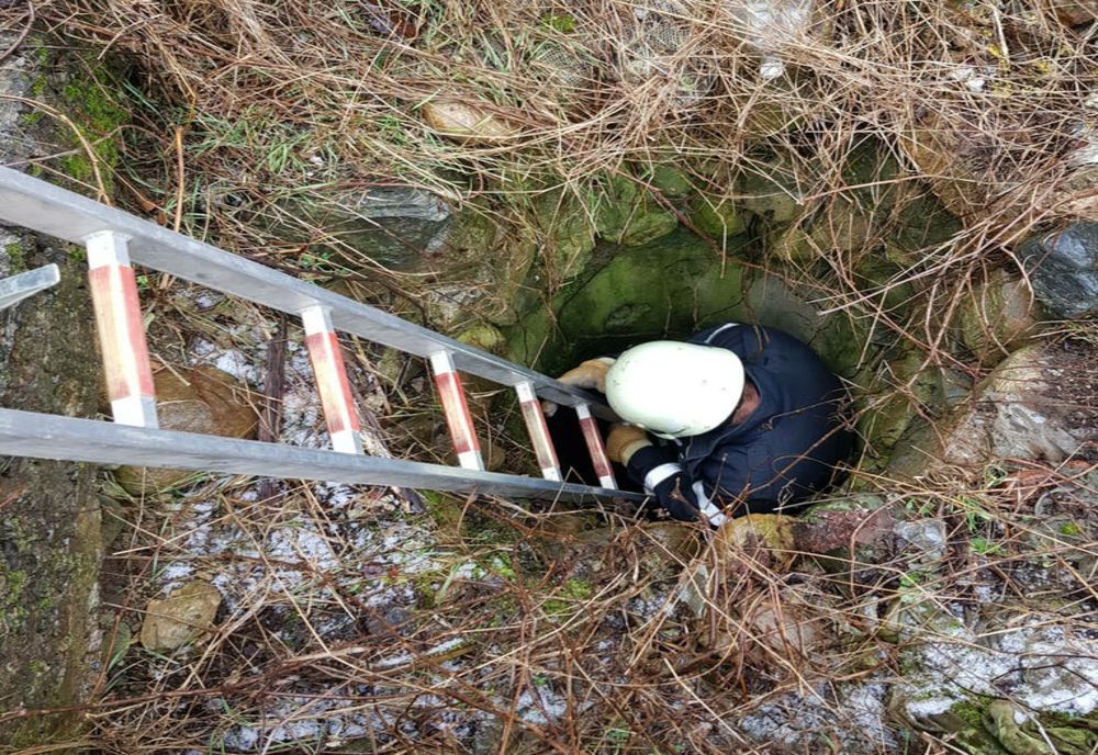 Salvatorii de la ISU Giurgiu au readus la viață un câine căzut într-o fântână