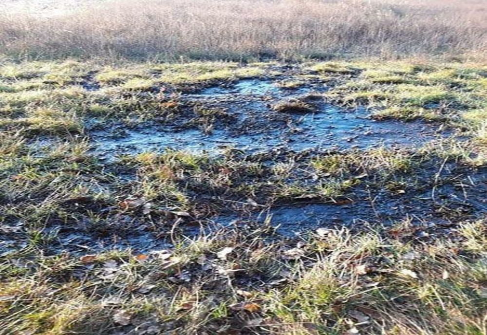 Fisură la o conductă de petrol din județul Giurgiu. Garda de Mediu a aplicat amendă în valoare de 50.000 lei