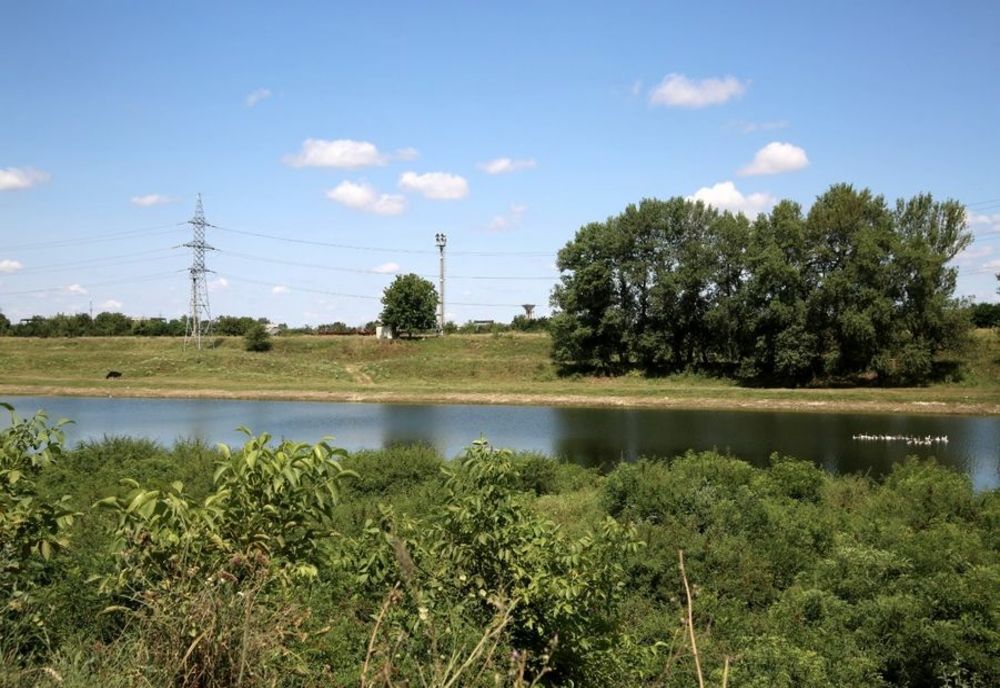 O zonă din Giurgiu va fi împădurită printr-un proiect aprobat de Consiliul Local Giurgiu