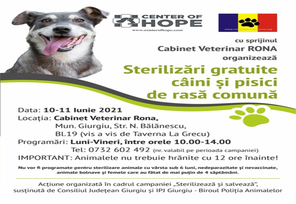 Campanie de sterilizare gratuită a câinilor și pisicilor de rasă comună, la Giurgiu