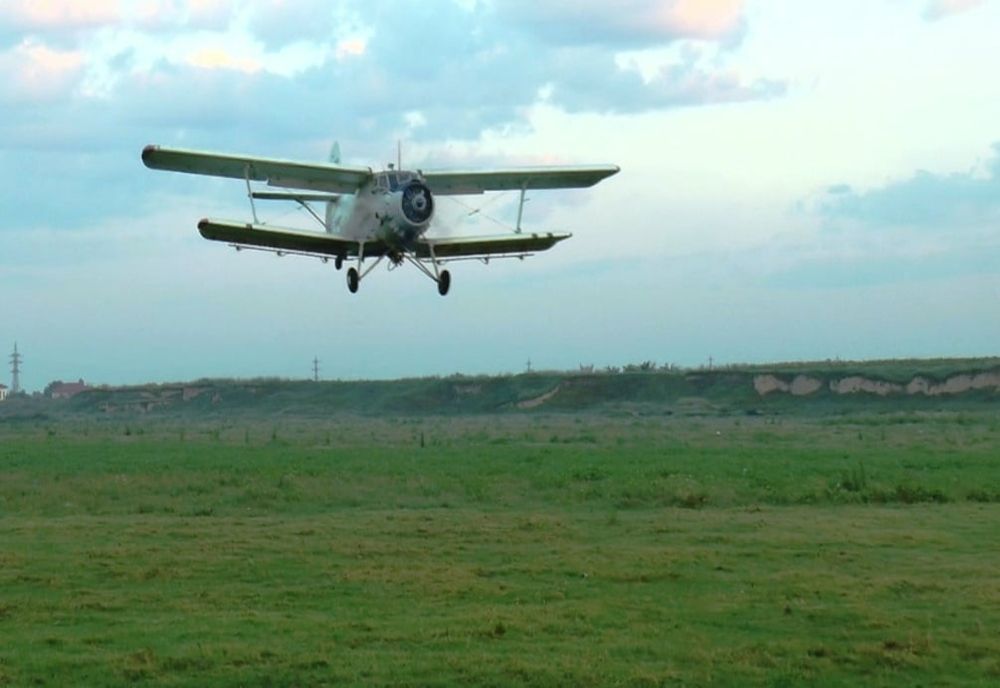 Dezinsecție aeriană în Giurgiu. Când va avea loc și ce substanțe vor fi folosite