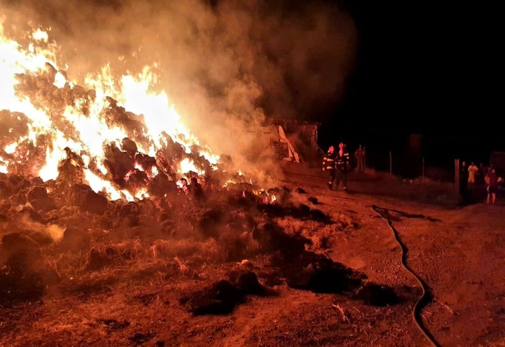 Gospodărie din Băneasa, incendiată! 1.500 de baloți de lucernă și un saivan, distruse de flăcări