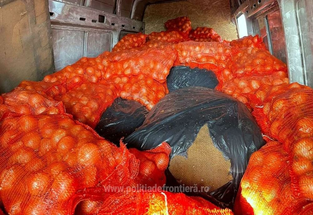 Giurgiu. 800 de kg de tutun neprelucrat, ascuns printre saci cu ceapă, descoperit într-un microbuz 