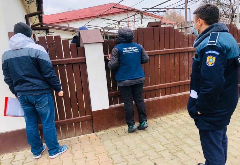 Acțiune de control a Poliției Animalelor în Giurgiu. Ce caută oamenii legii
