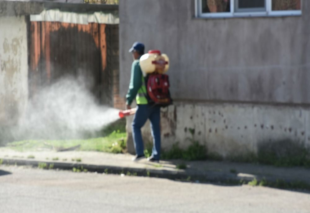 Giurgiu. Acţiuni de dezinsecţie la subsolurile blocurilor. Ce recomandă autorităţile