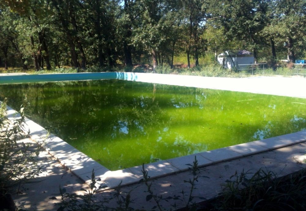 Giurgiu. Complexul ”Tabăra Stejarul” din pădurea Bălănoaia va fi reabilitat 