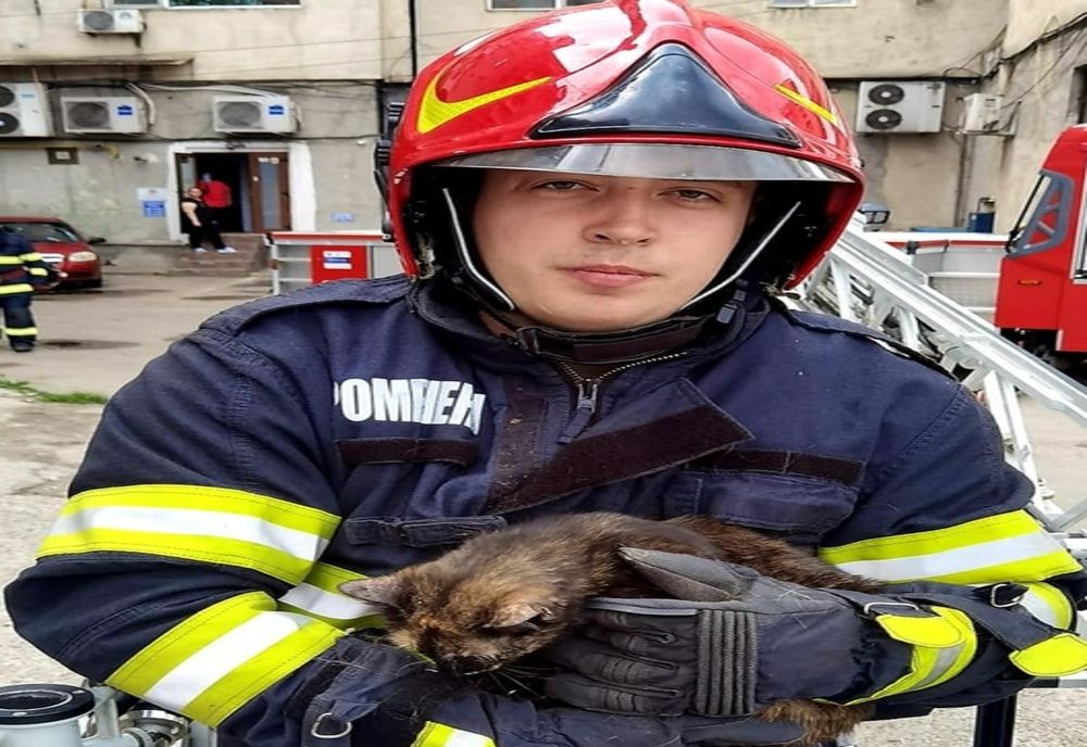 Giurgiu. Pisică salvată de pompieri după ce a rămas blocată la etajul 5 al unui bloc