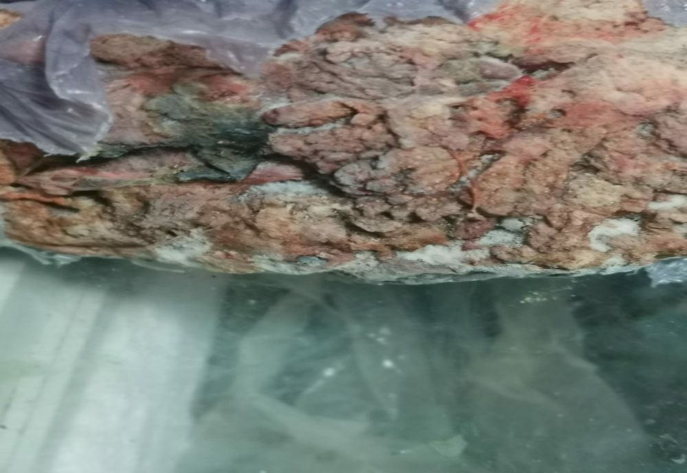 Comisarii ANPC propun închiderea unui supermarket și a unui restaurant din Giurgiu