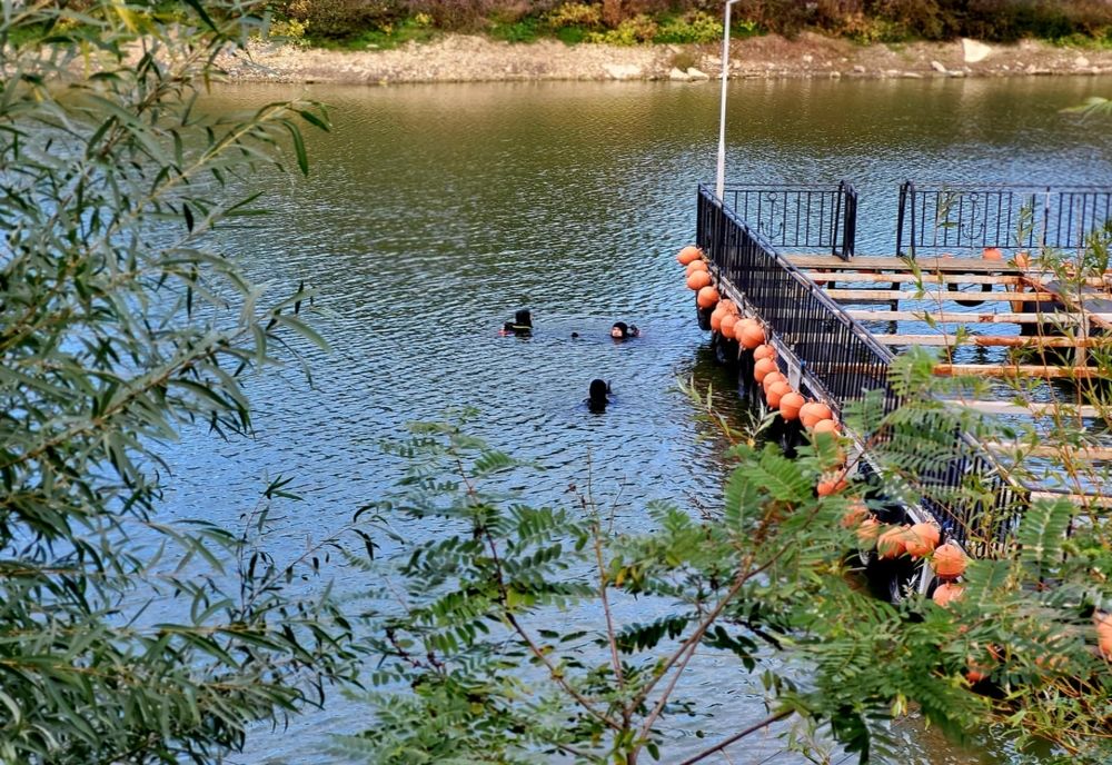 Giurgiuveanul dat dispărut, căutat de scafandri în Canalul Plantelor