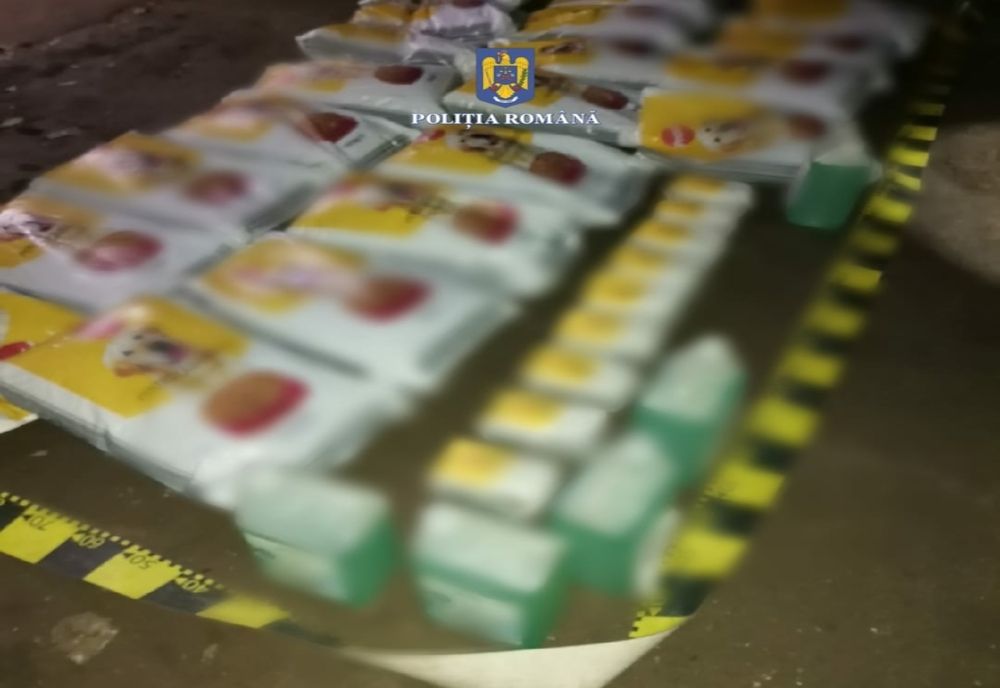 Giurgiu. Tineri reţinuţi pentru furtul unor bunuri dintr-o societate comercială