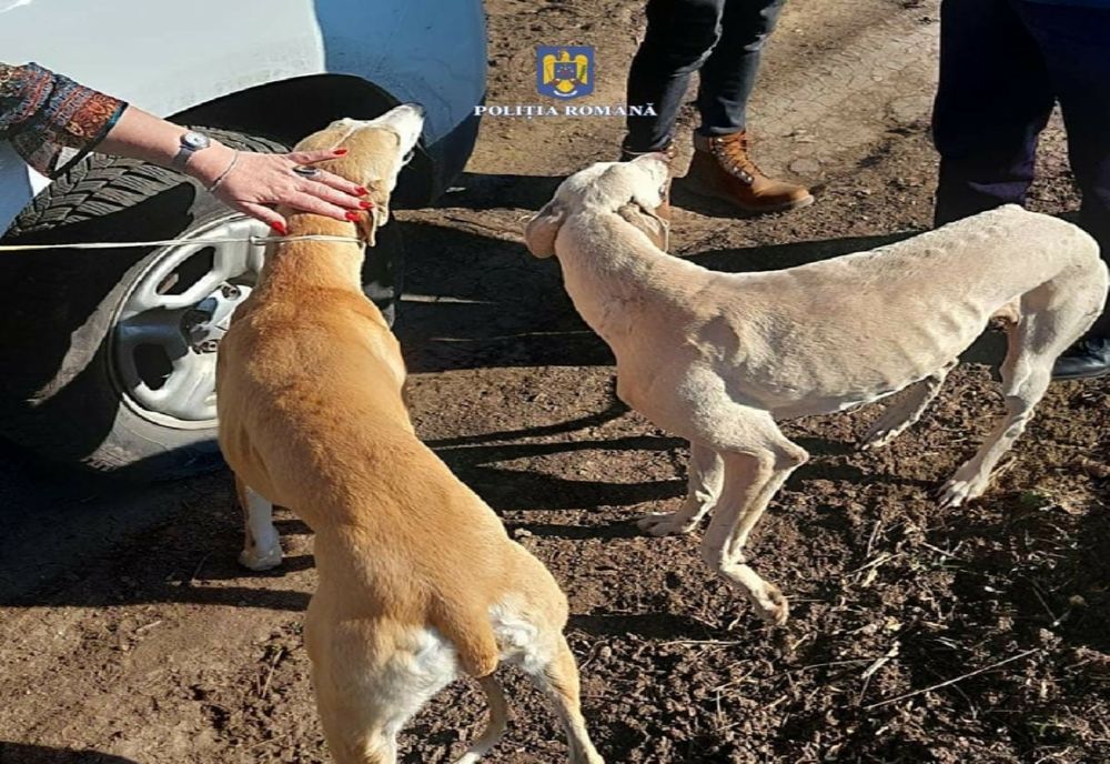 Acţiune a poliţiştilor giurgiuveni pentru prevenirea faptelor ilegale ce aduc atingere fondului cinegetic național și conservarea biodiversității naturale