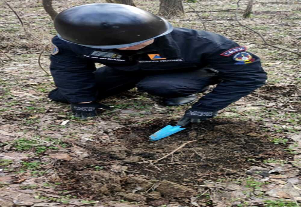 Grenadă defensivă și cartușe de infanterie, găsite într-o pădure