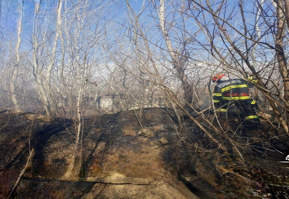 Giurgiu. Incendiu violent pe şoseaua Portului. Hectare întregi de vegetaţie uscată, în flăcări