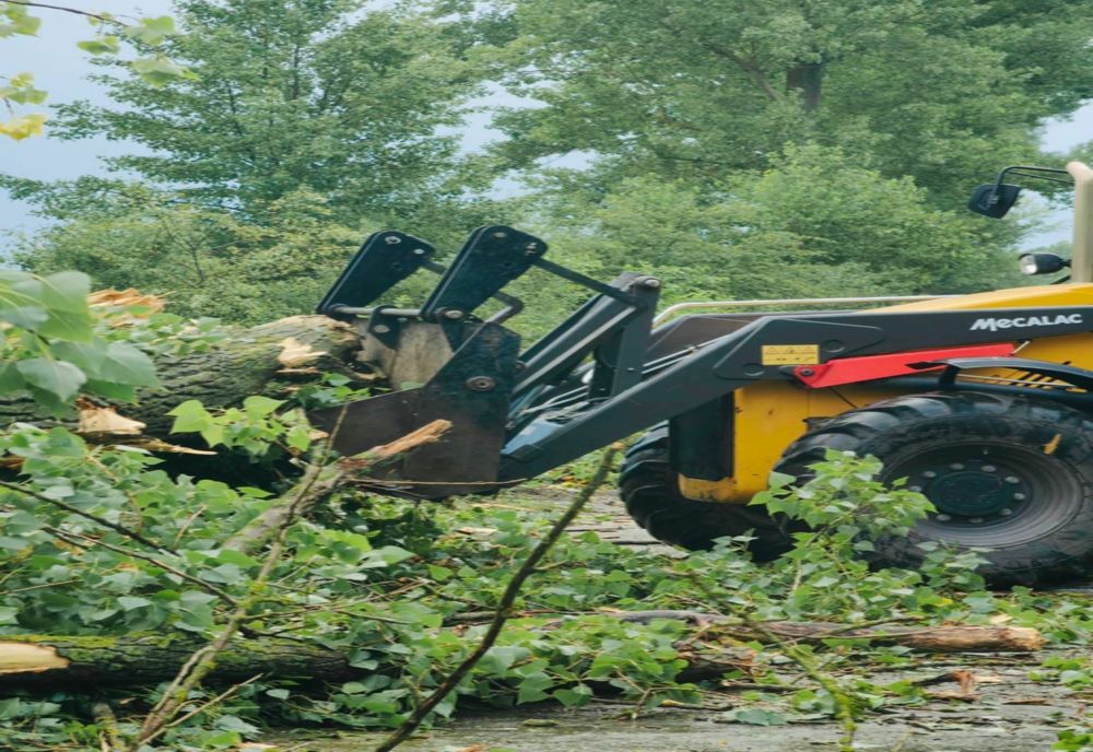 Copac căzut pe carosabil la Iepureşti! 