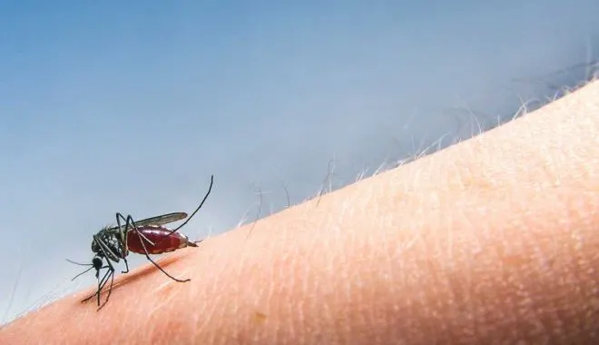 west nile