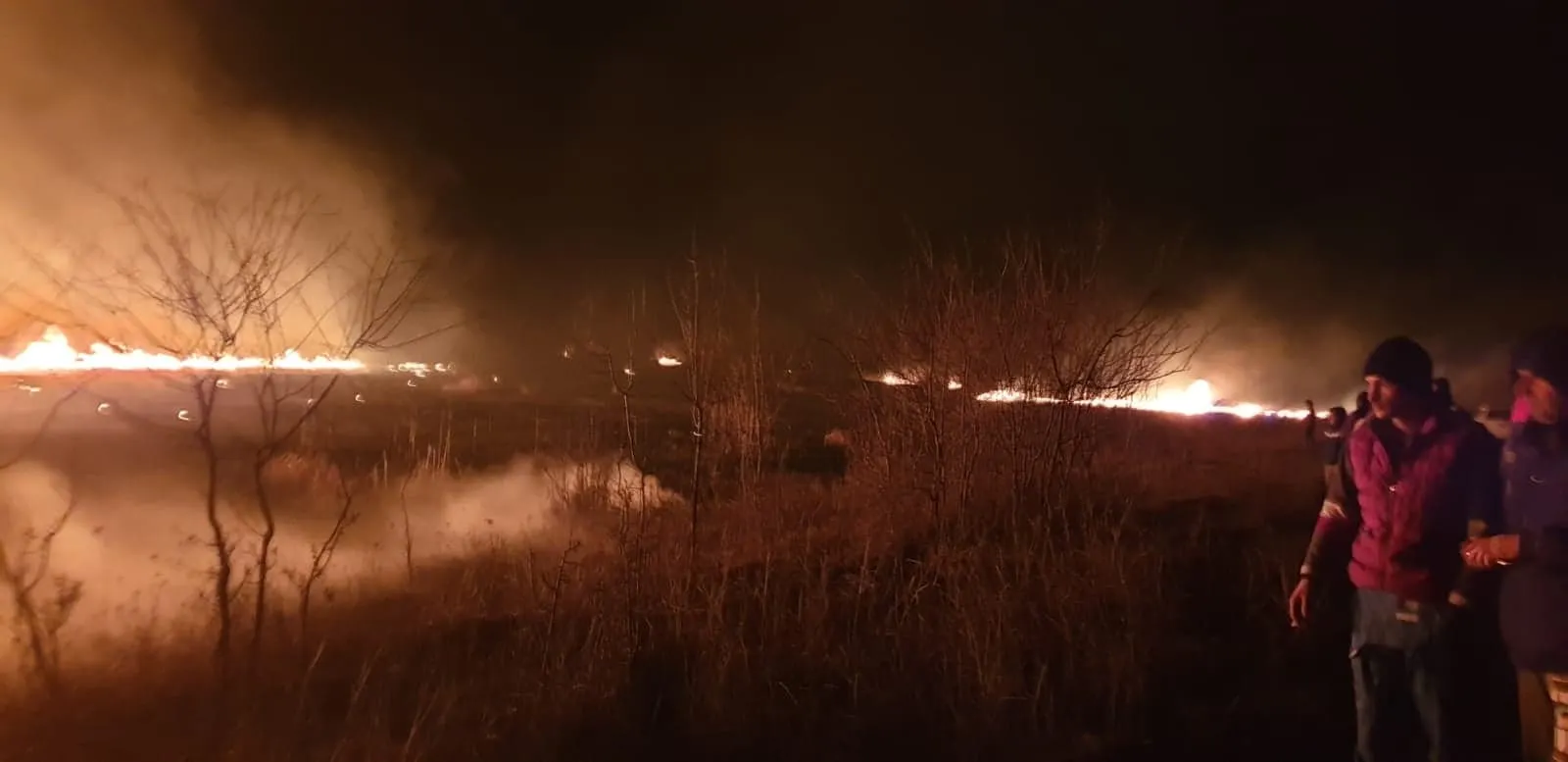 incendiu ogrezeni