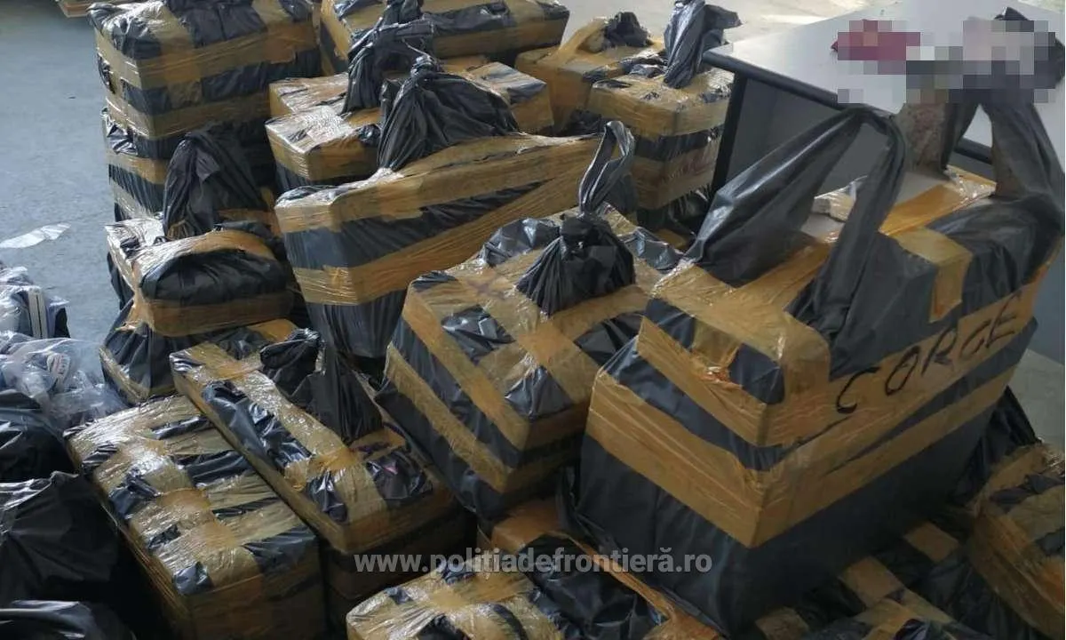 articole de încălțăminte și parfumuri