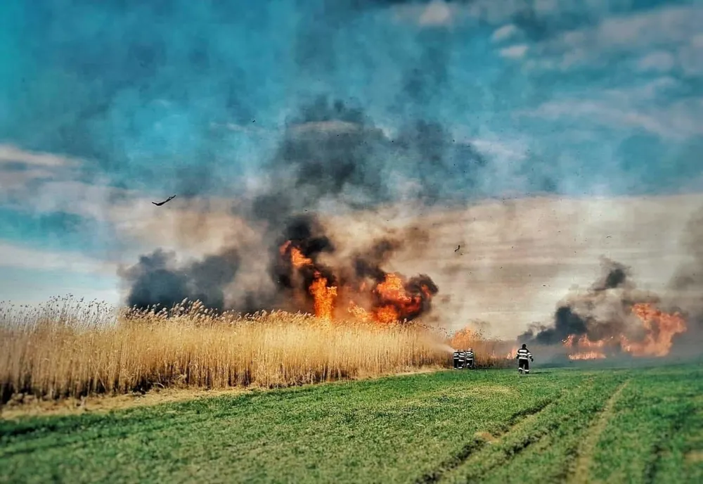 Incendii de vegetație uscată pe bandă rulantă. Unde au mai intervenit pompierii