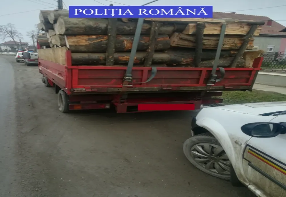 Lemnele, în vizorul polițiștilor. Ce au constatat oamenii legii