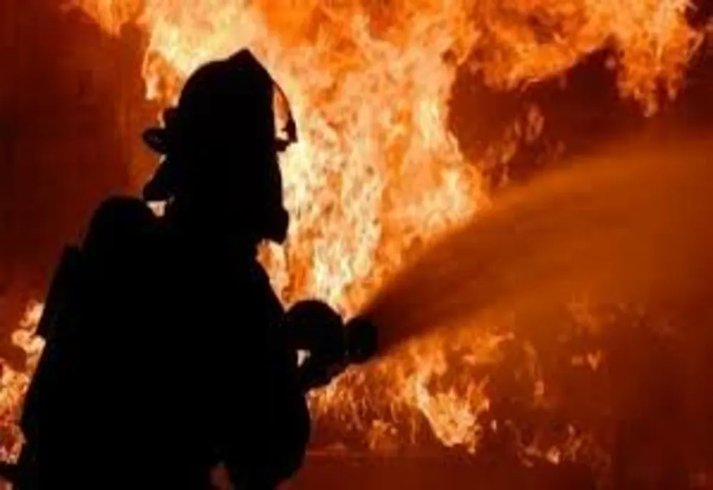 Incendiu la un adăpost de animale din Săbăreni