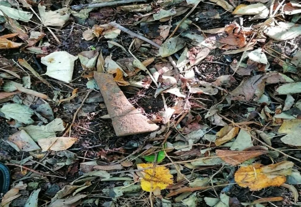 Fragment dintr-un proiectil cal 76 mm, descoperit în pădurea Comana