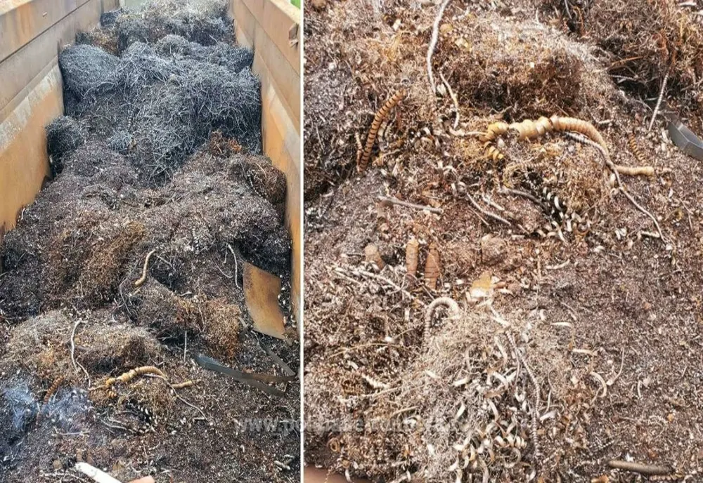 Peste 22 de tone de deșeuri metalice, oprite la Vama Giurgiu
