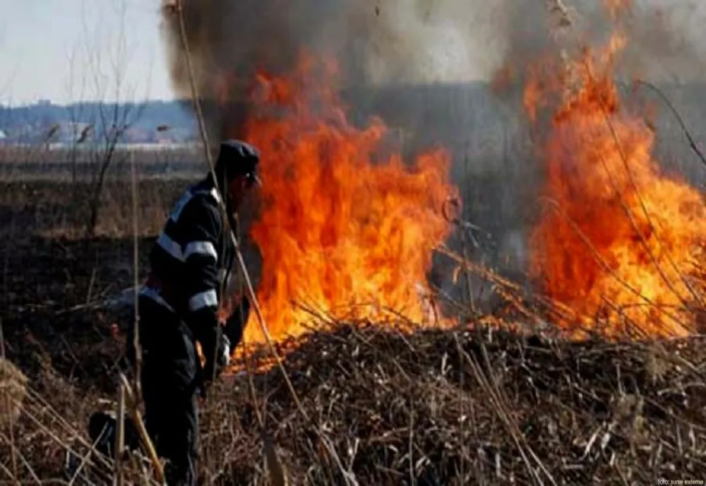 Giurgiu. Opt incendii de vegetaţie, în acest weekend