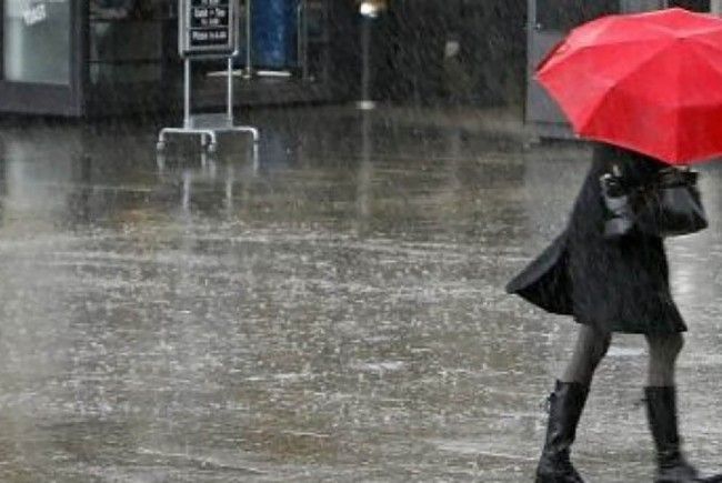 cod-galben-de-ploi-si-vant_81214396-650x435