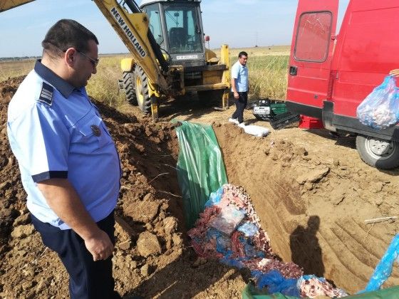 carcasă de porc și pui confiscate