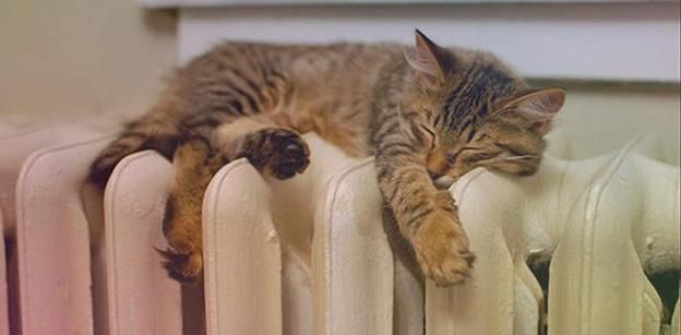 depunere dosare incalzire