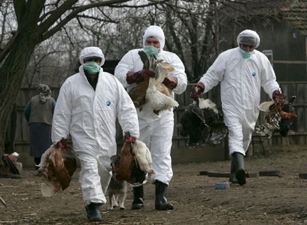 media-147982274116220900