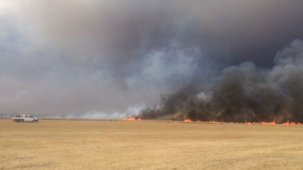 incendiu A1 vegatație uscată