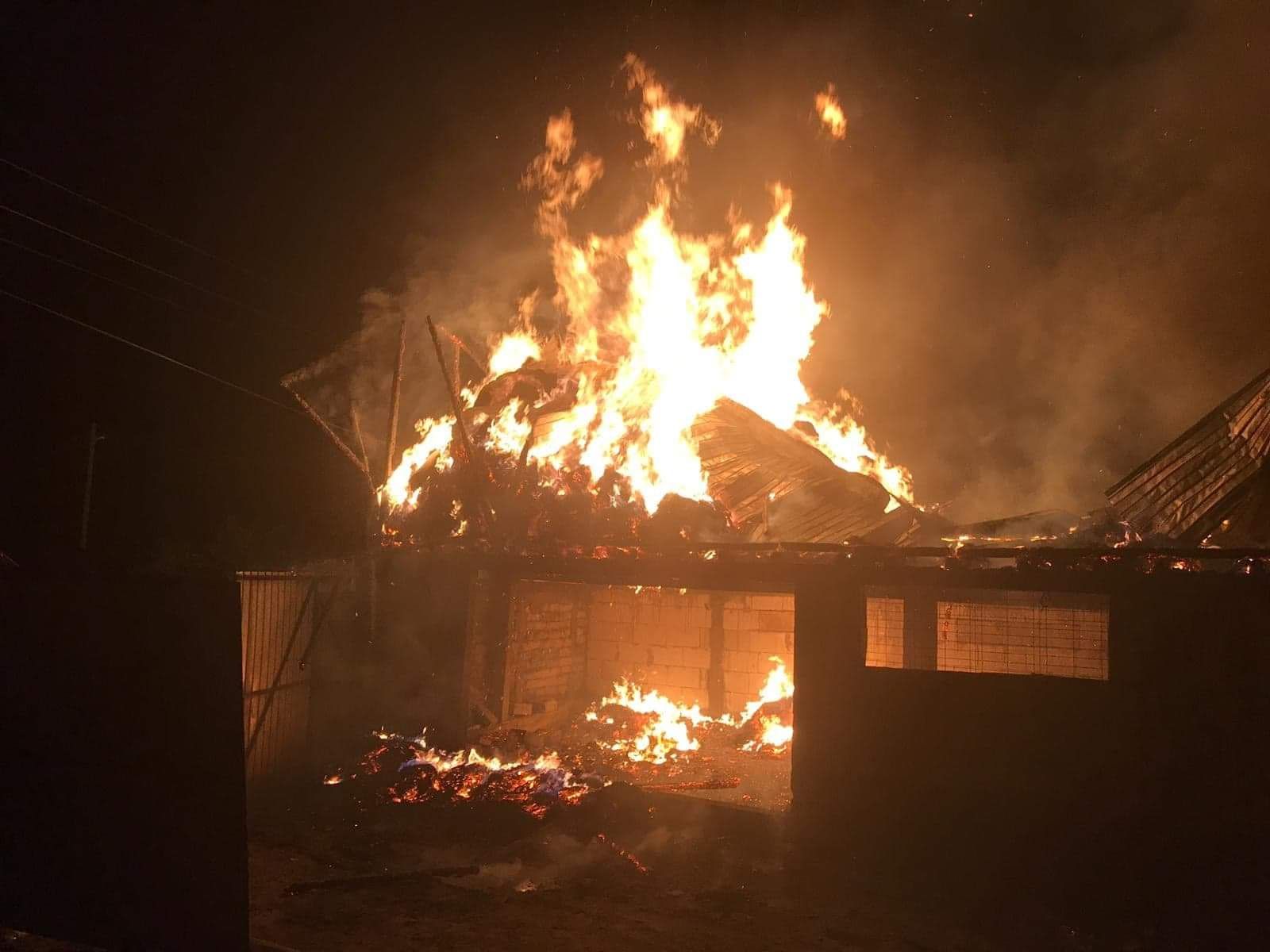 64218118_351674255549100_5719011076478074880_n