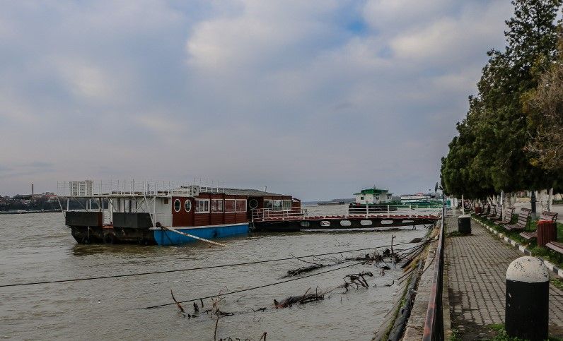 cod portocaliu pe Dunăre