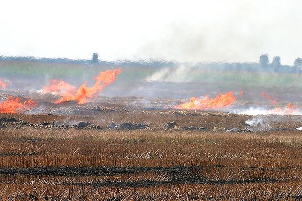 bărbat ars pe miriște
