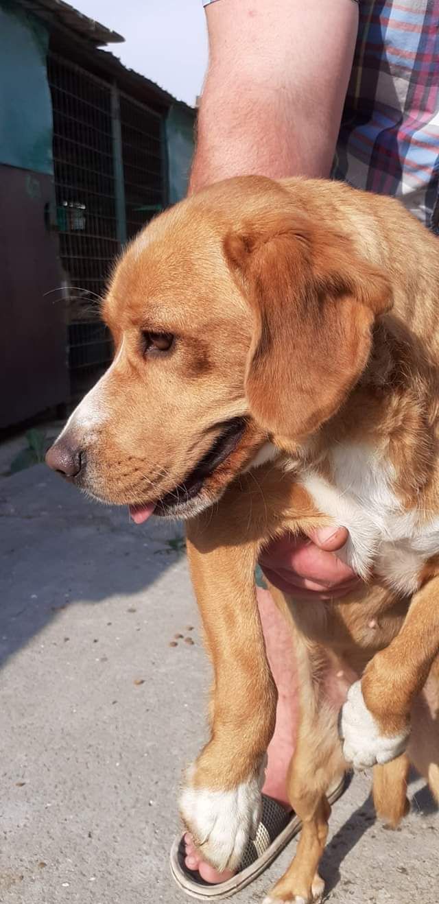 69713018_1298102493706526_1066711026960957440_o