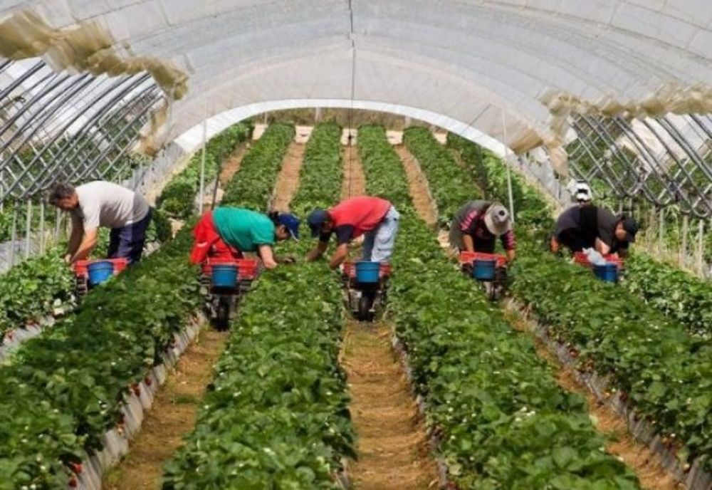 Noi locuri de muncă în străinătate prin intermediul EURES