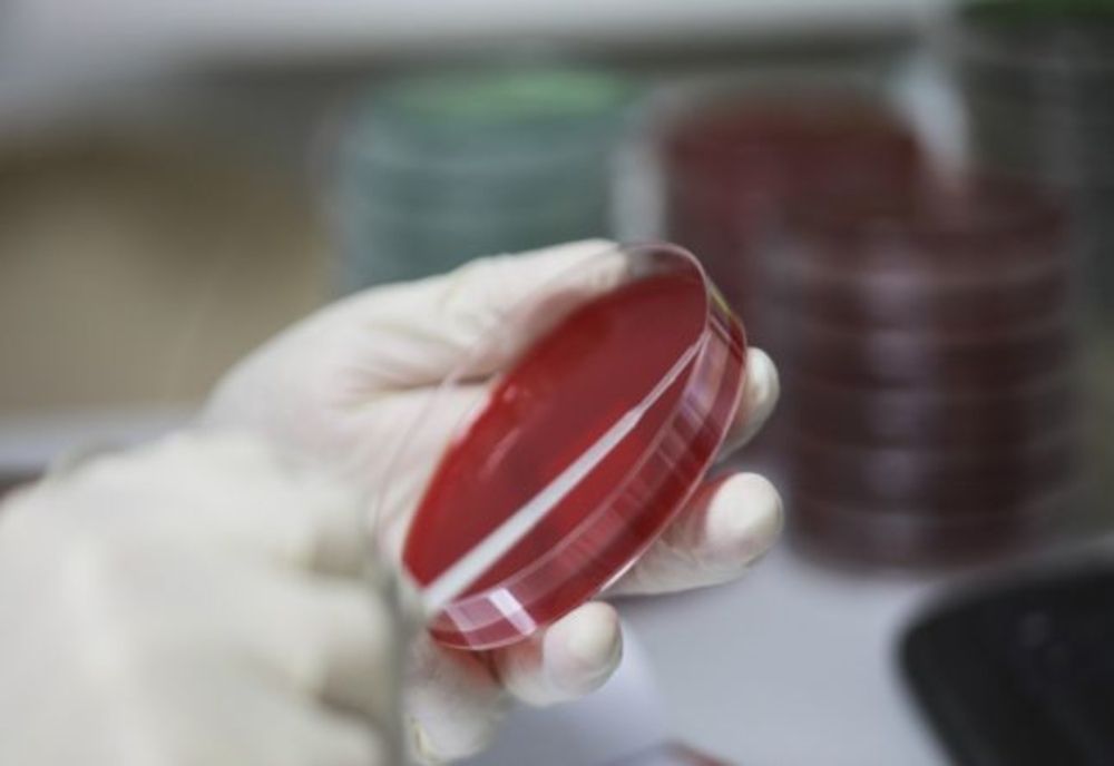 Alocații pentru românii aflați în carantină: 230 de lei, pentru cazare, și 70 de lei, pentru mâncare