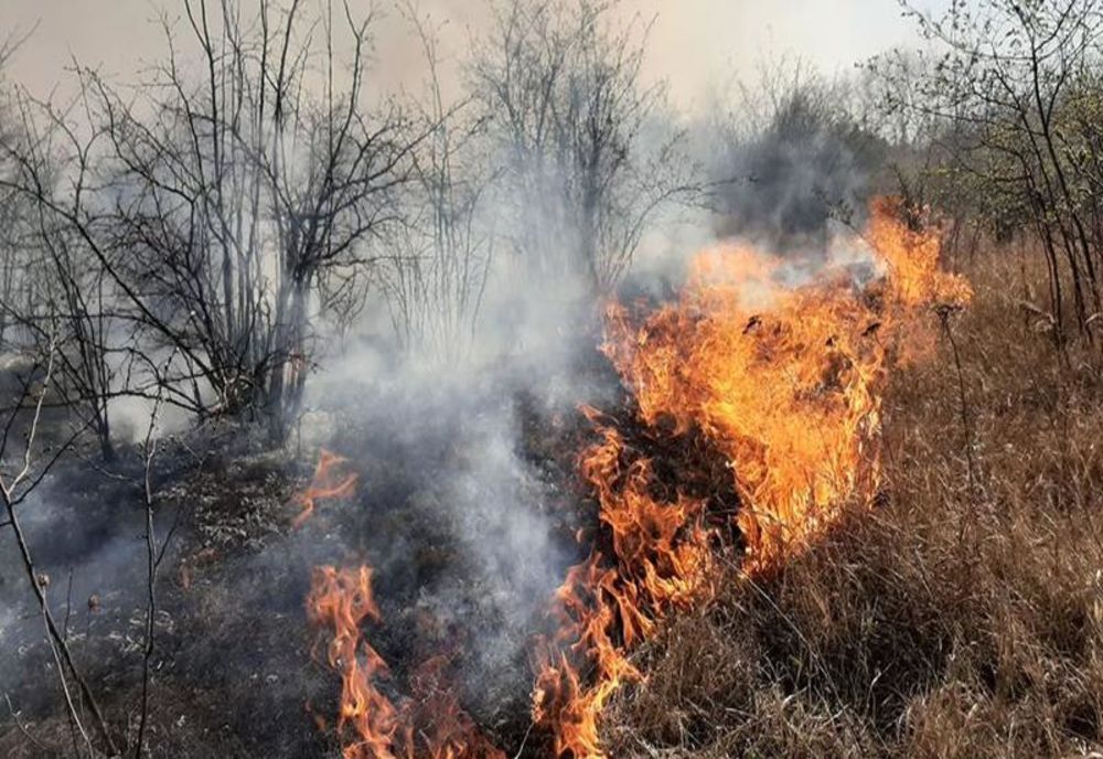 Peste 50 ha de vegetație, mistuite de flăcări