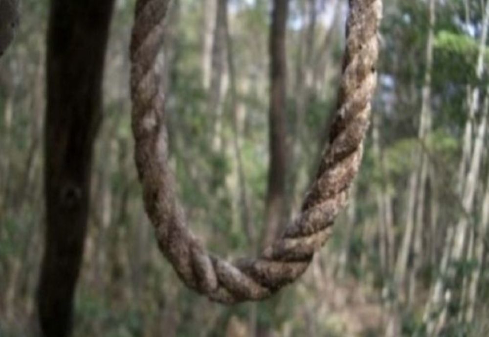 Bărbat găsit spânzurat la o stână din Mihai Bravu