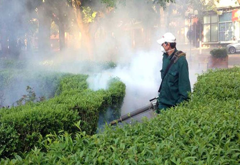 Autoritățile din Giurgiu demarează dezinsecția terestră în municipiul Giurgiu