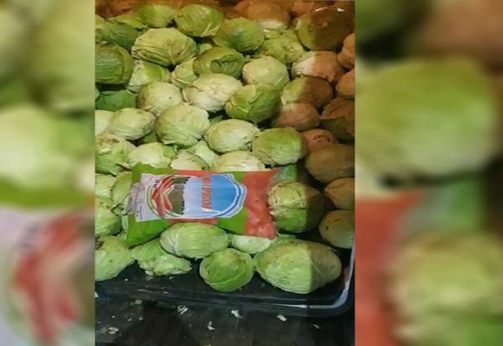 300 kg de substanță neautorizată pentru protecţia planelor, descoperită ascunsă printre varză