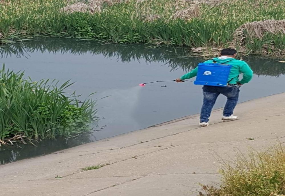 Dezinsecție și pe luciul de apă, la Giurgiu. Unde au loc acțiunile de combatere a țânțarilor