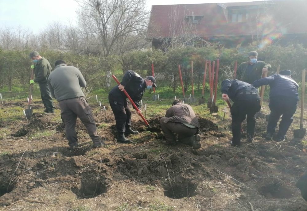 Cum au marcat jandarmii giurgiuveni Ziua Armei