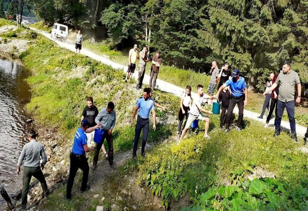 Populare cu păstrăv pe râul Teleajen