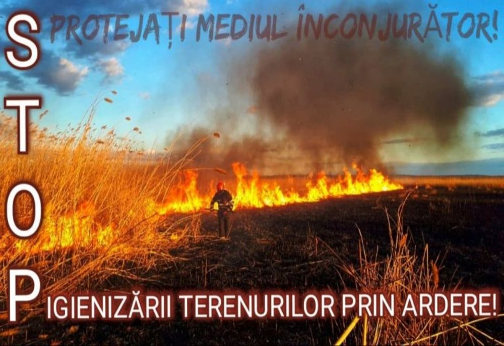 Giurgiu. Patru incendii de lizieră de pădure și miriște, în ultimele ore