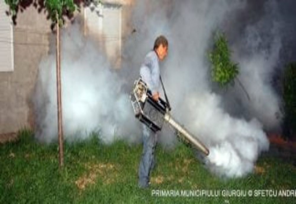 În Giurgiu, dezinsecția se mută în subsolurile blocurilor