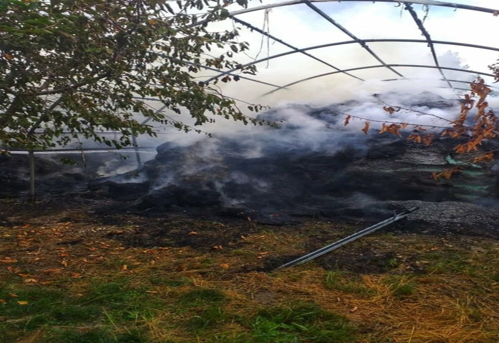 Incendiu violent la două hale din Bâcu. Cinci autospeciale din Giurgiu și București-Ilfov intervin pentru stingerea focului