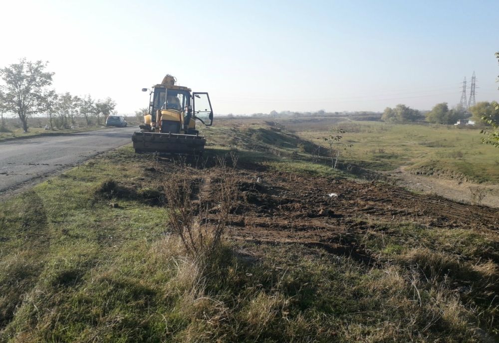 50.000 de puieți vor fi plantați la Giurgiu în cadrul proiectului "Pădurea Urbană"